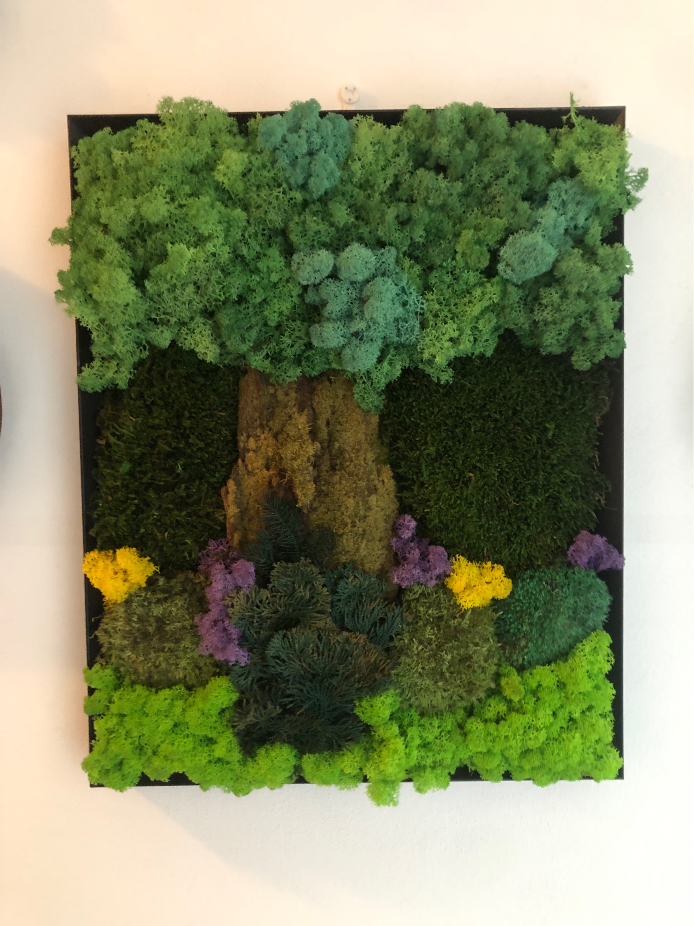 Quadro in cornice nera con armonia di varietà di muschi e colori