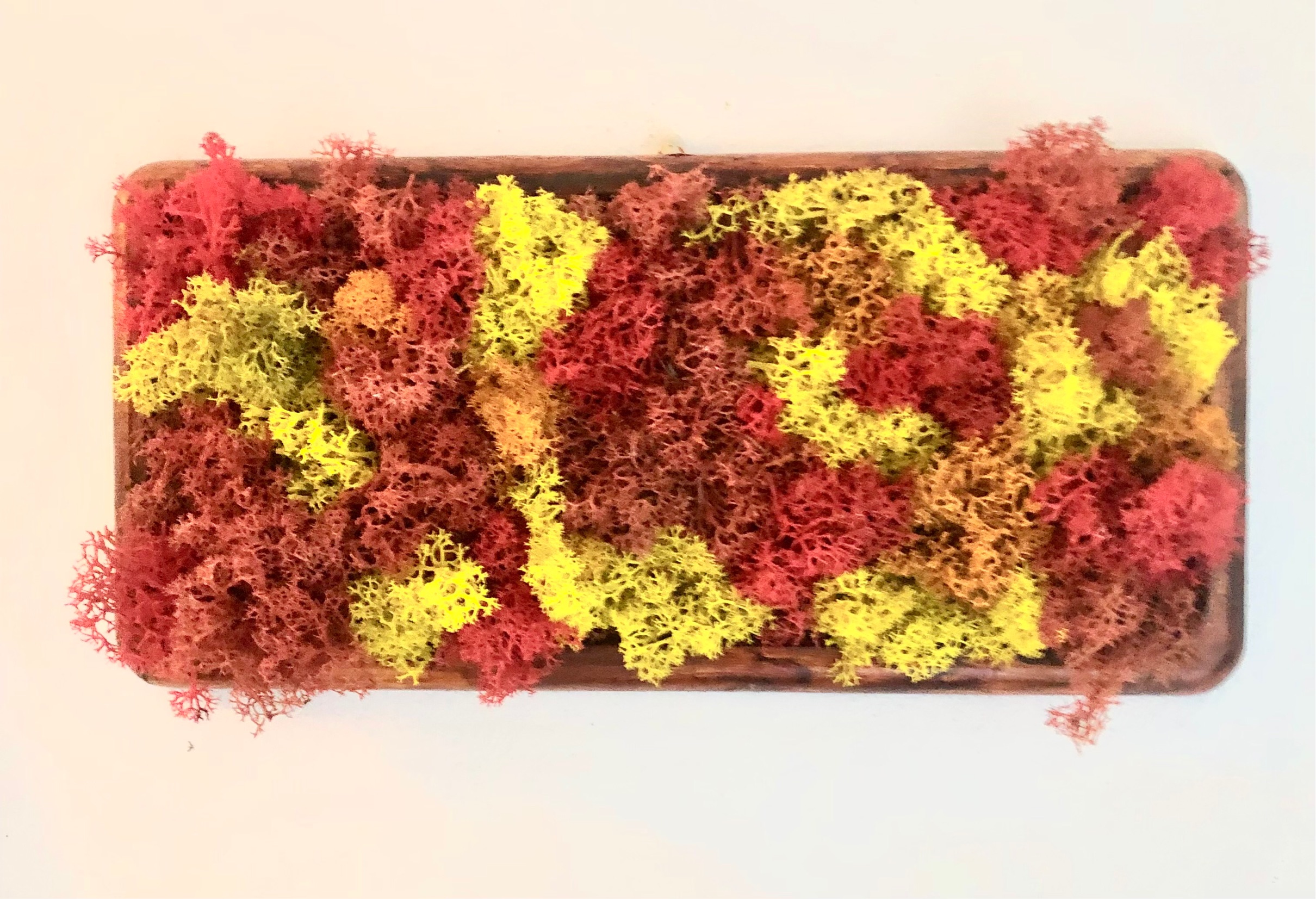 Vassoio color ciliegio ed arcobaleno autunnale