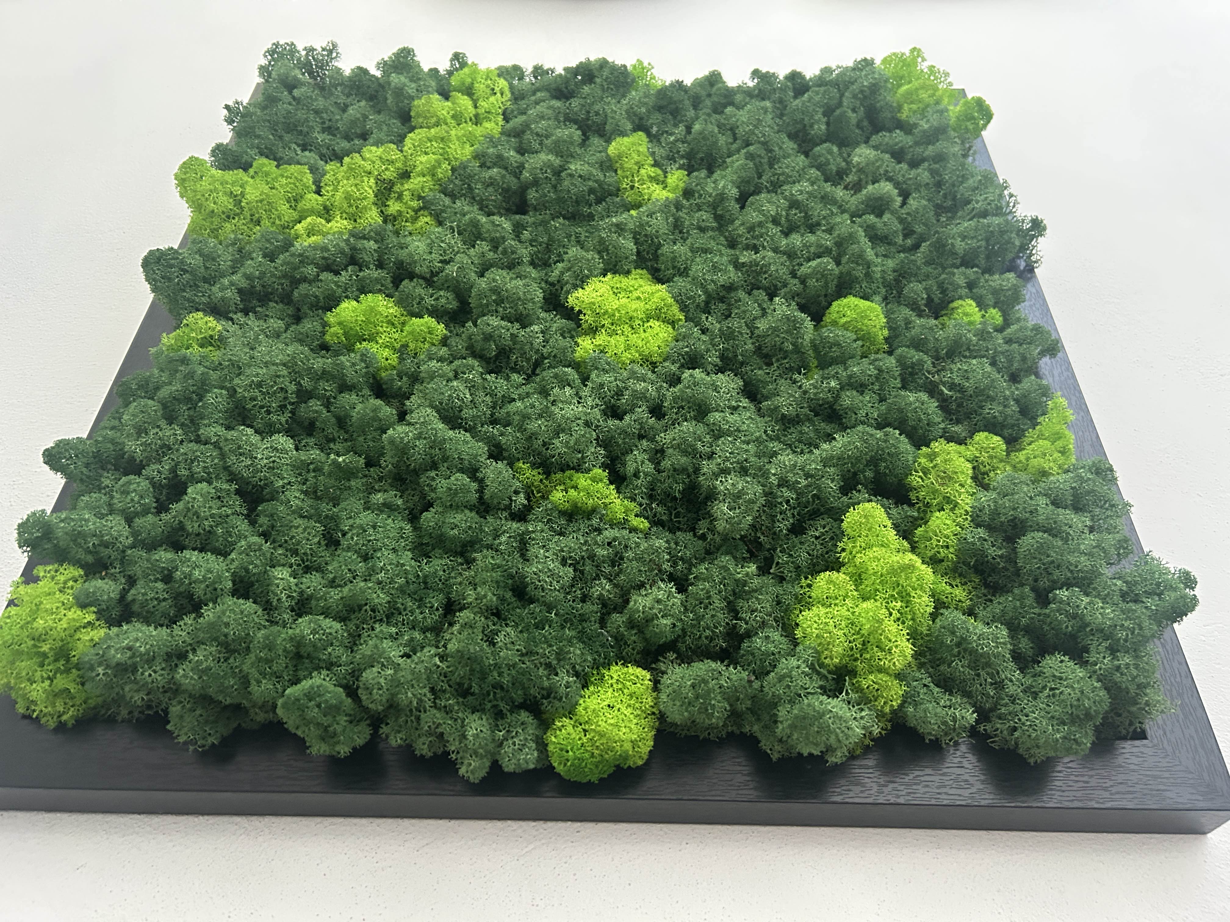 Quadro " Bosco Verticale "