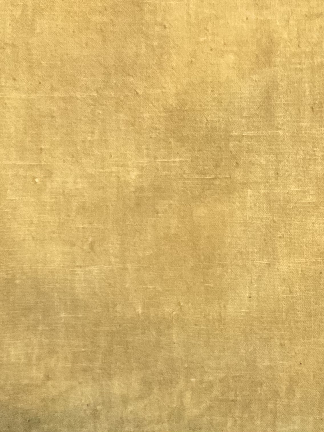 Housse de coussin l Unie Gaude