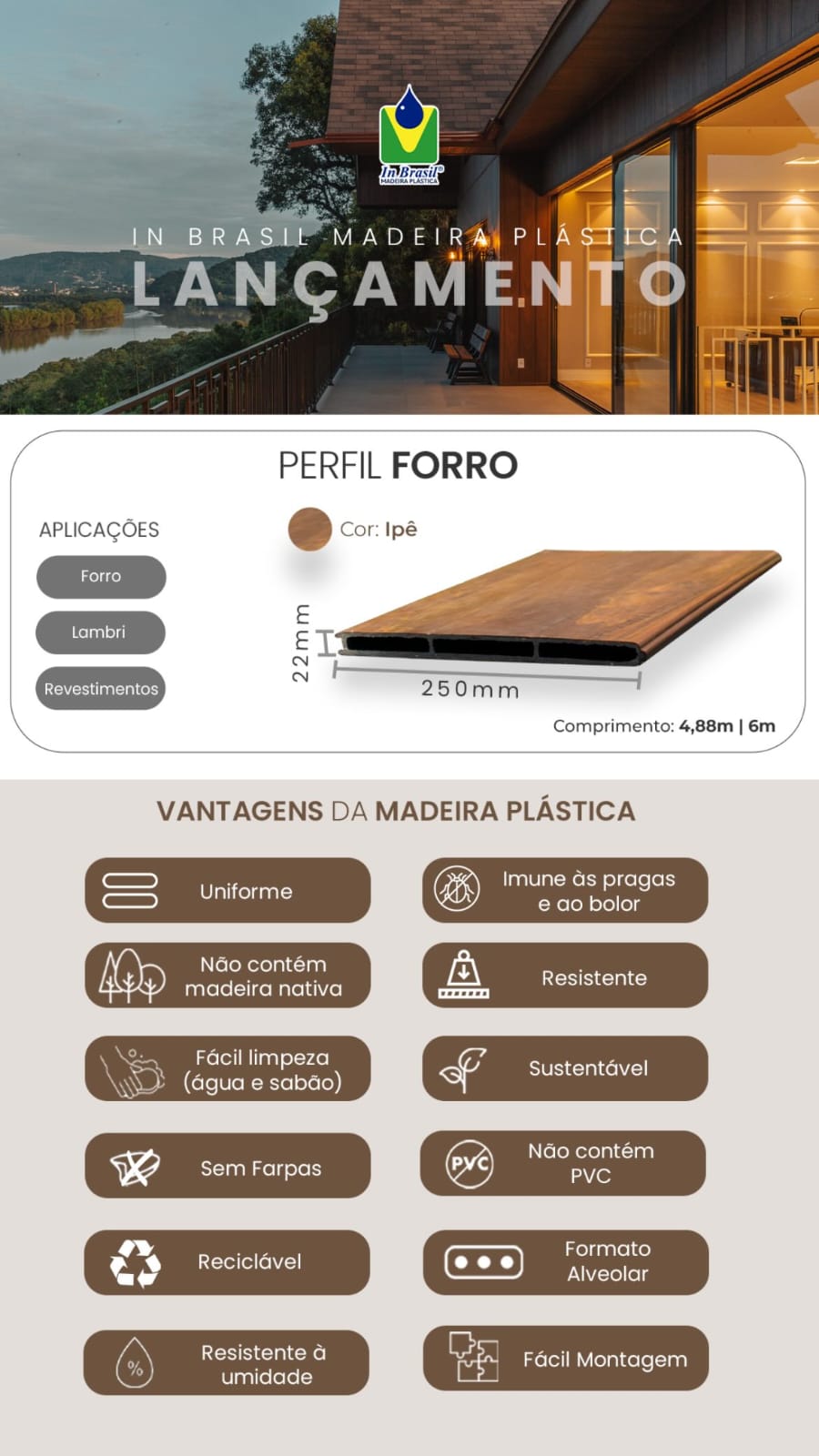 Forro 250 x 22mm 