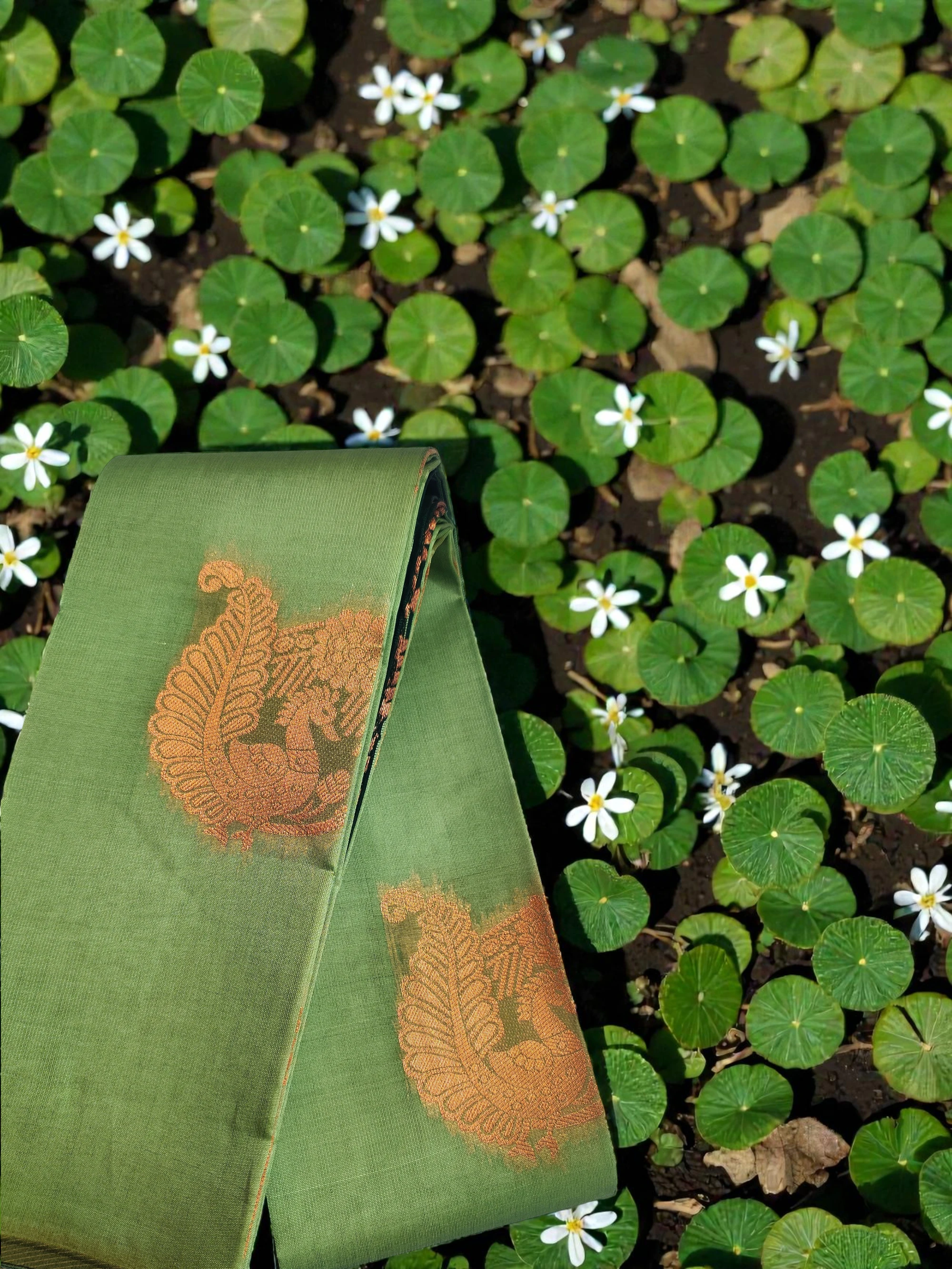 Pastel Green Semi Soft Silk Saree with Dark Emerald Jacquard Blouse