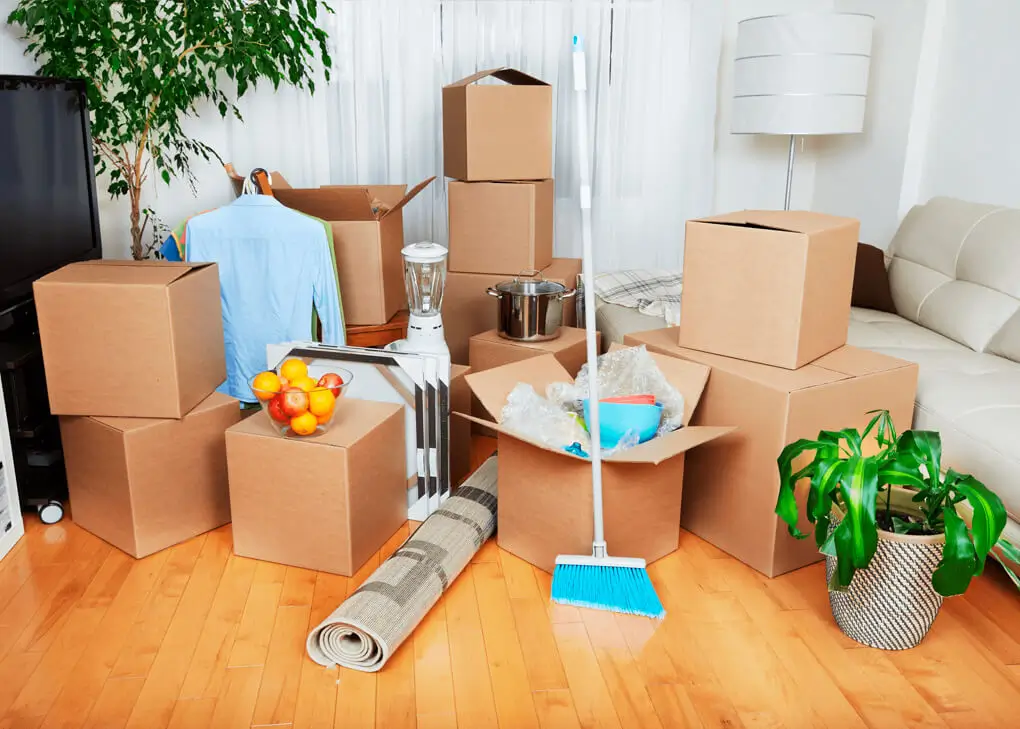 Move in/out Cleaning