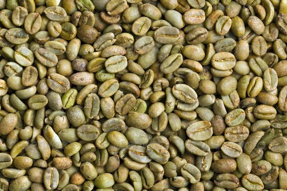 Robusta Green Coffee Beans