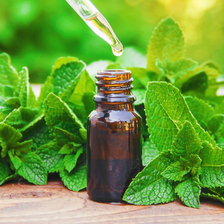 Peppermint oil 