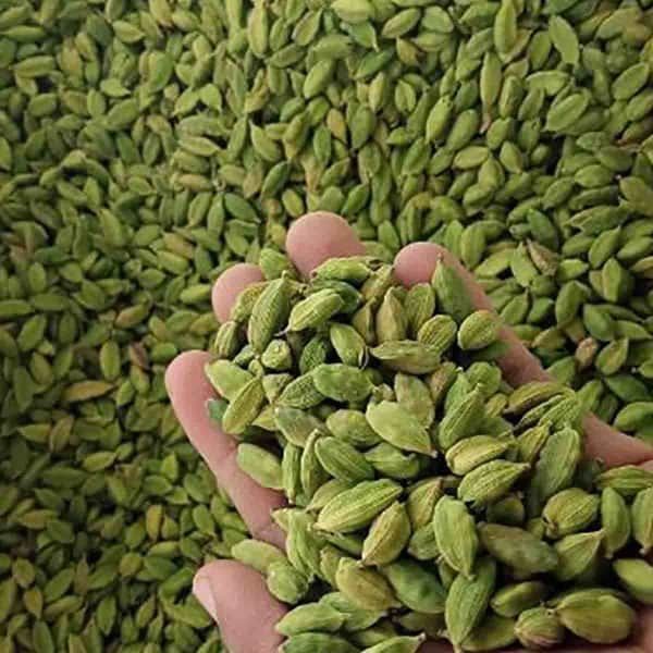 Green Cardamom