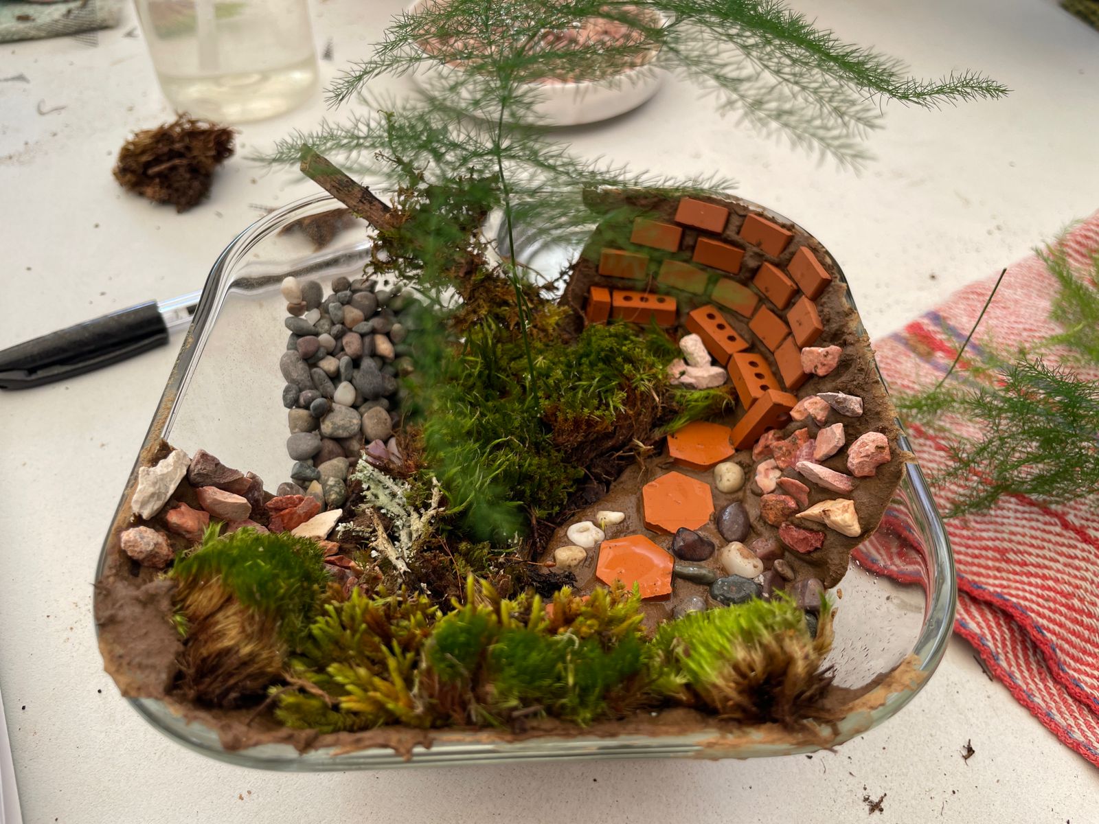 Terrario decorativo en vidrio