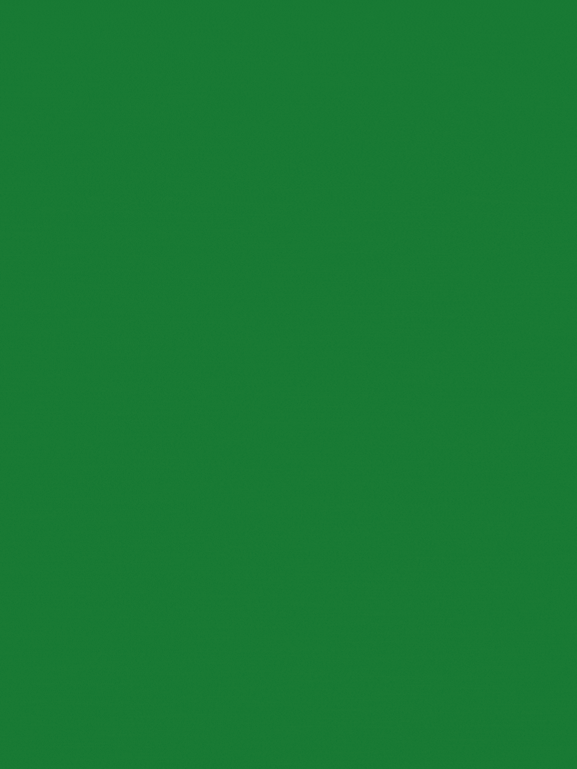 越式烤羊肉盖饭 (Pick up)