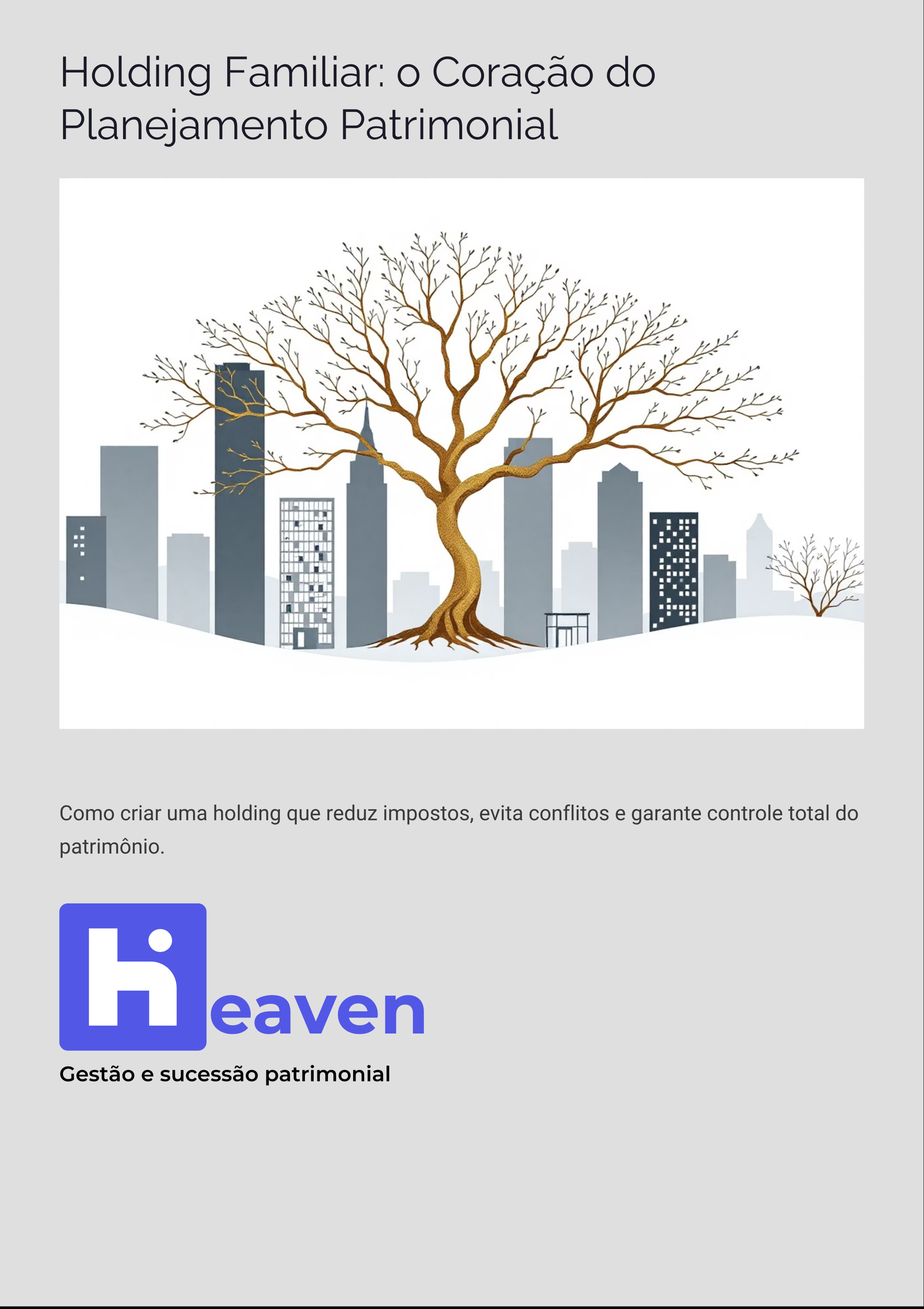 Holdgin familiar o coração do Planejamento Patrimonial 