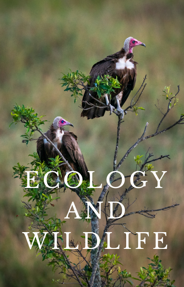 Ecology and WildLife