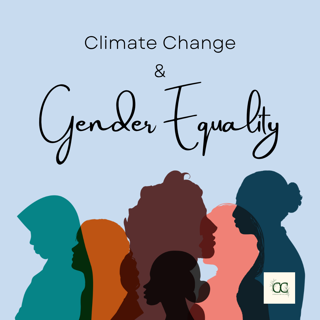 Climate Change and Gender Equality