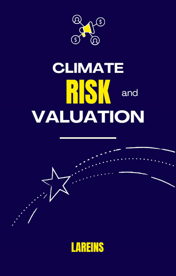 Climate Risk and Valuation