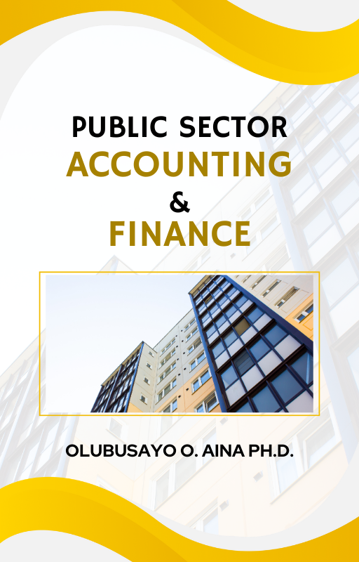 Public Sector Accounting and Finance