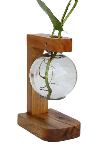 Vaso de bulbo decorativo de madeira