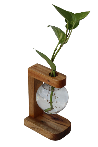 Vaso de bulbo decorativo de madeira