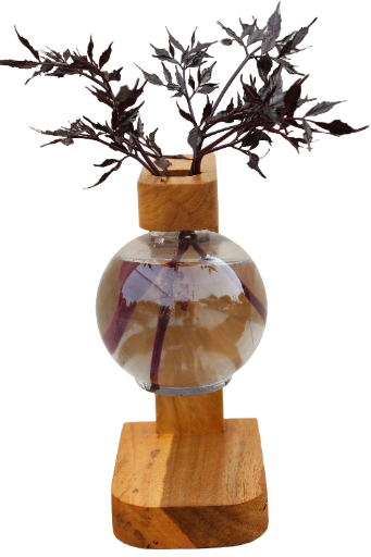 Vaso de bulbo decorativo de madeira