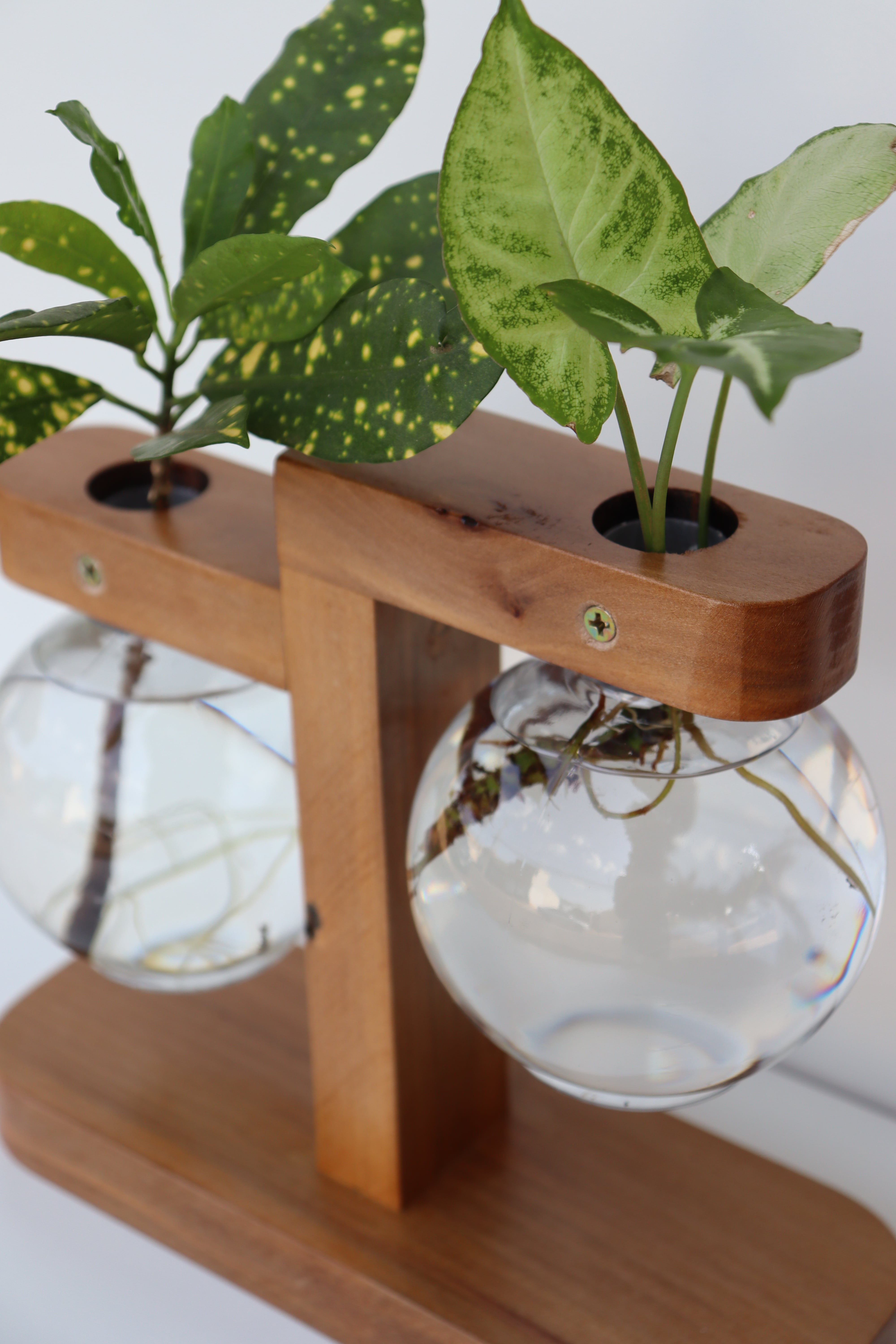 Vaso de Bulbo Duplo de Madeira Maciça