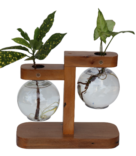 Vaso de Bulbo Duplo de Madeira Maciça