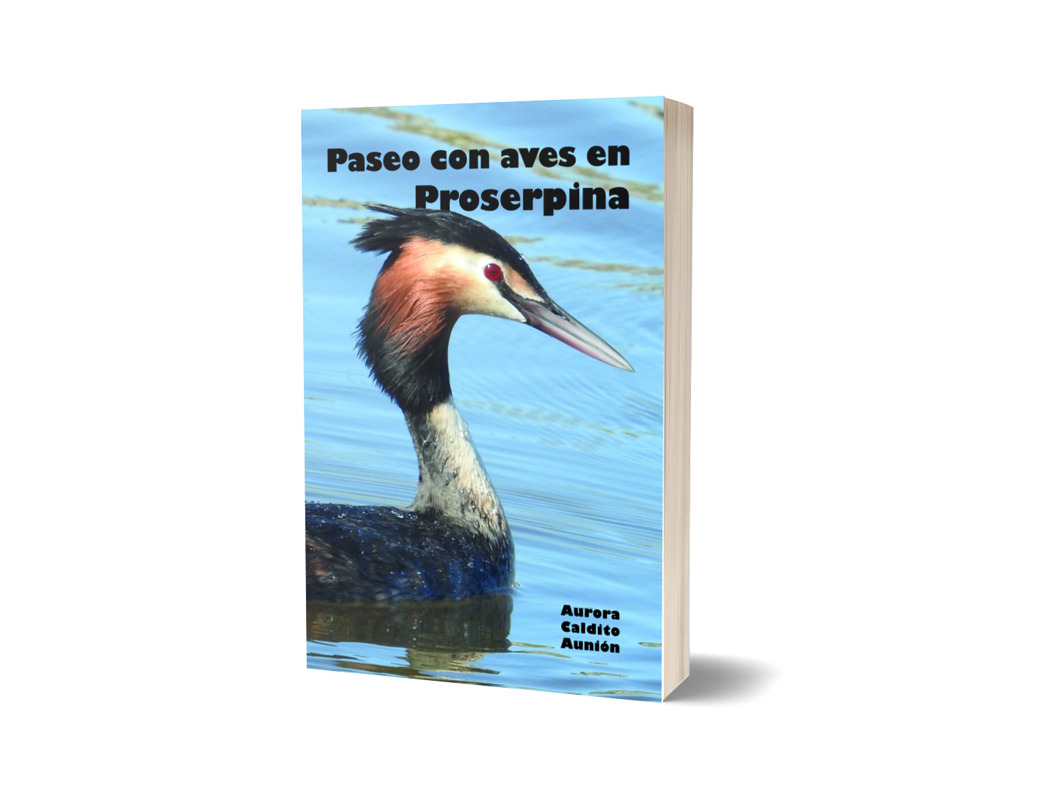 Paseo con aves en Proserpina