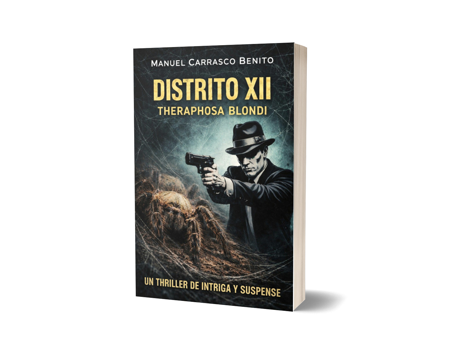 DISTRITO XII