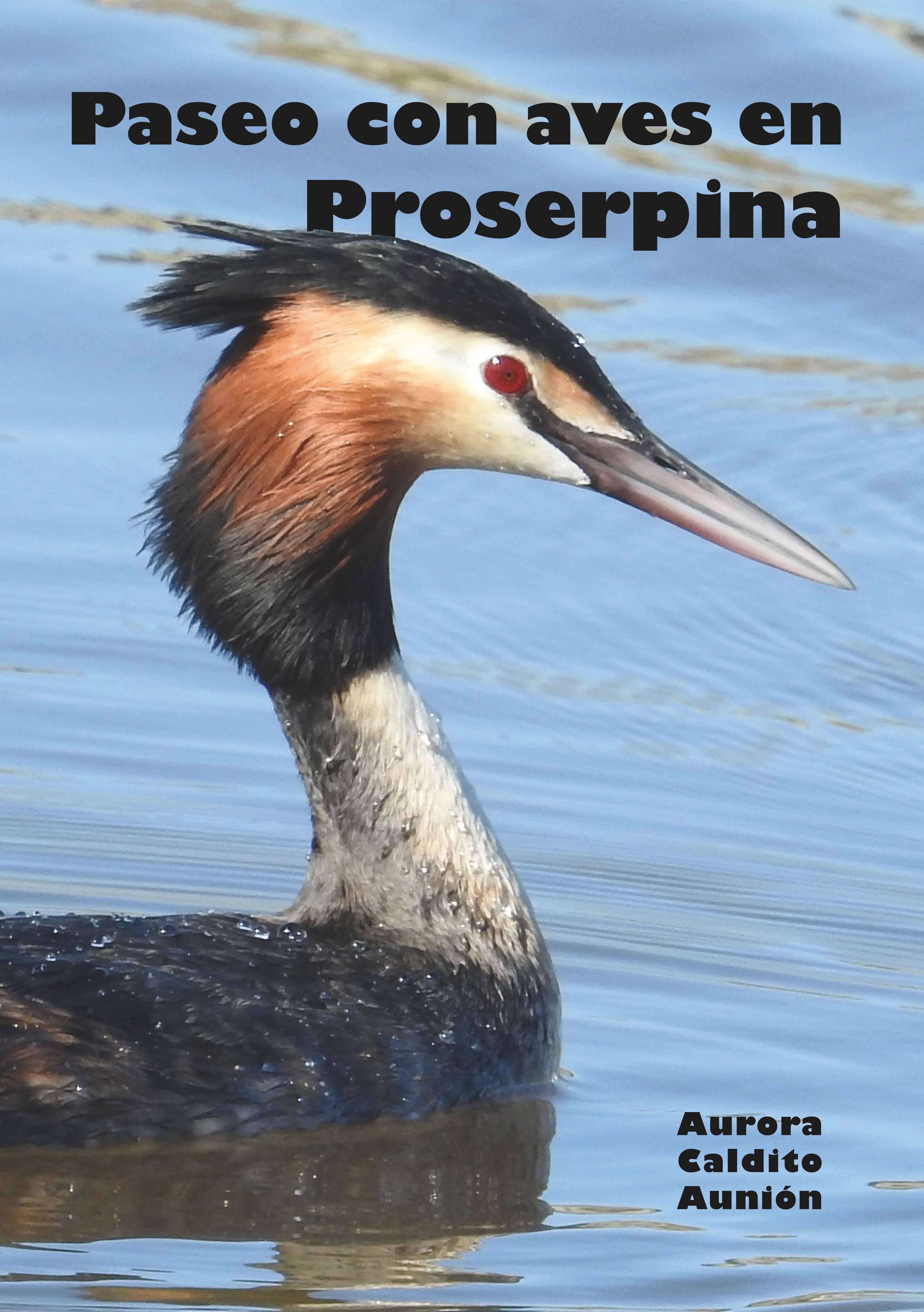 Paseo con aves en Proserpina