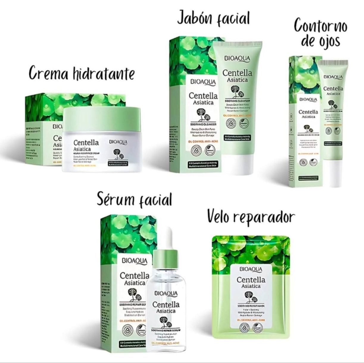 Kit centella asiática/ control grasa