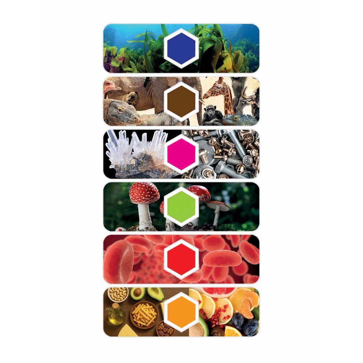 Science And Play AI Smart Microscope