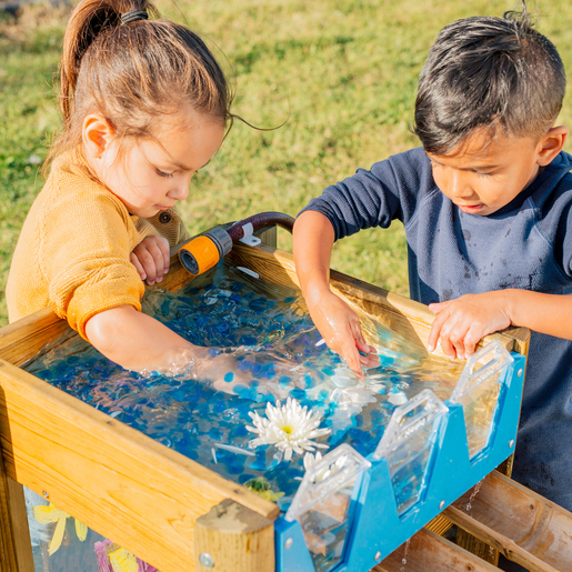 Plum Discovery Forest Wooden Water Run