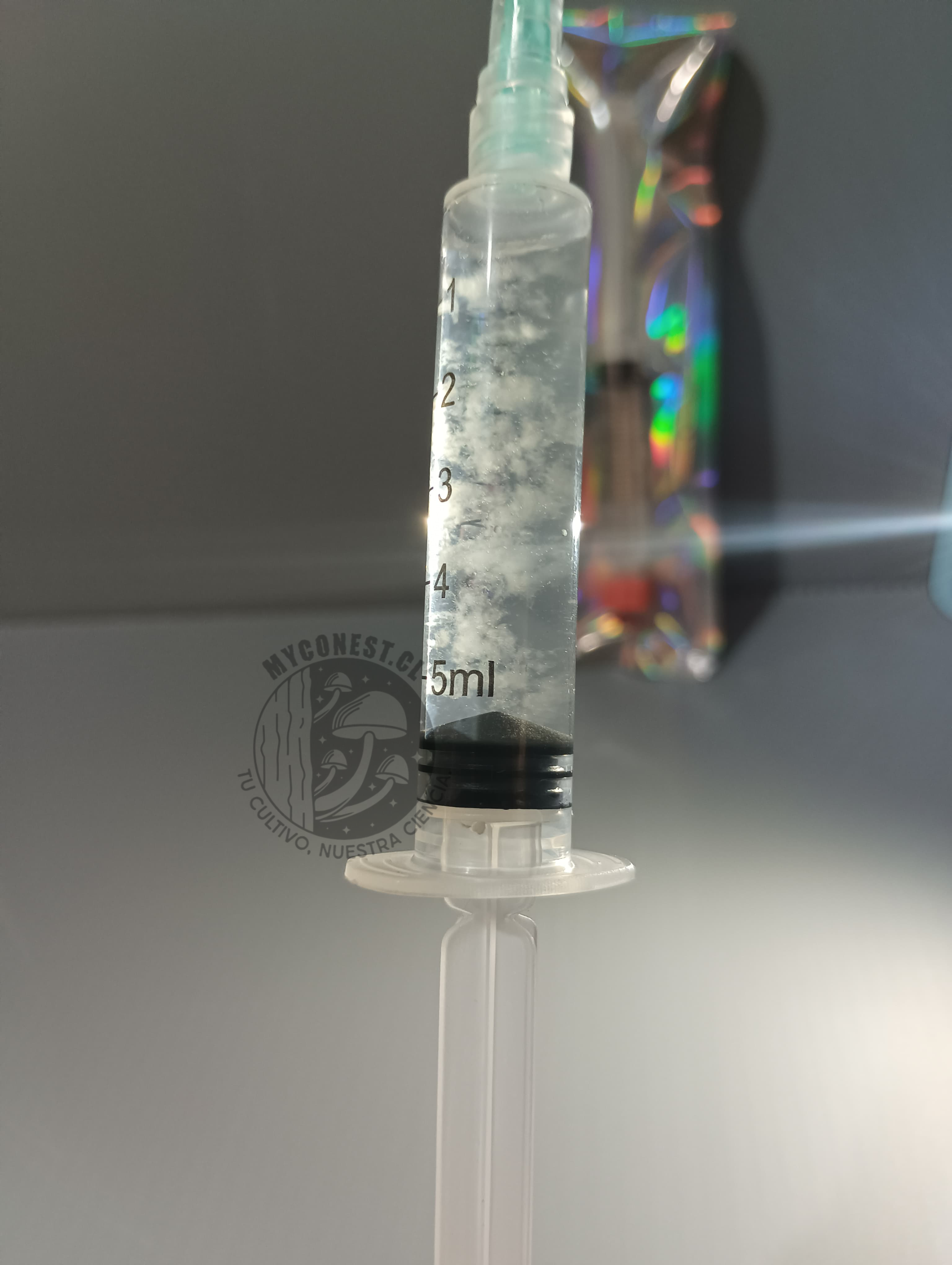 Jeringa de esporas de micelio Ostra Rey