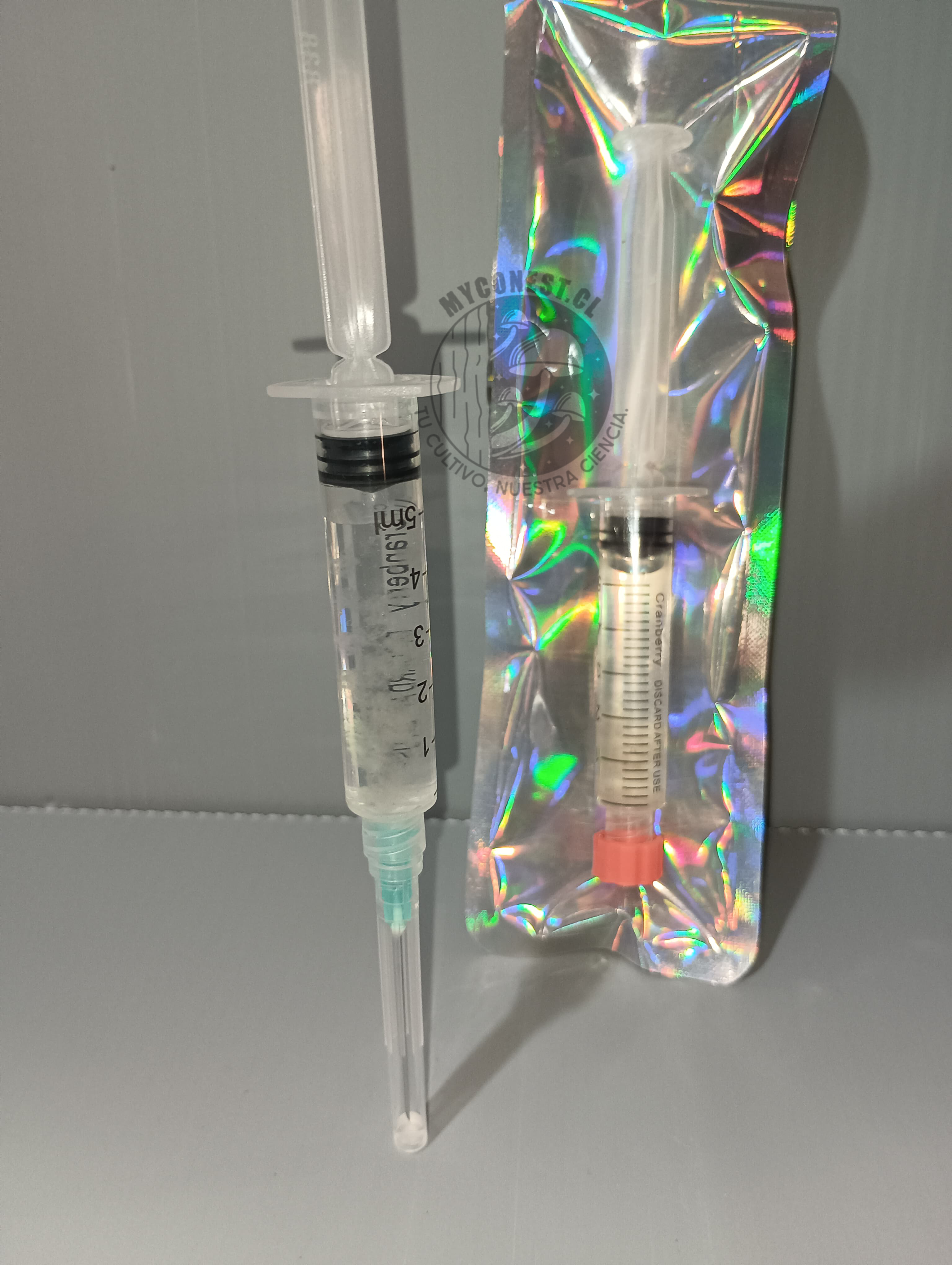 Jeringa de esporas de micelio Ostra Fenix