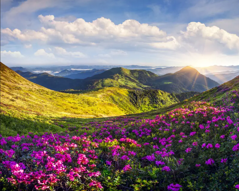 Rezervacija PAKET termina - 50min