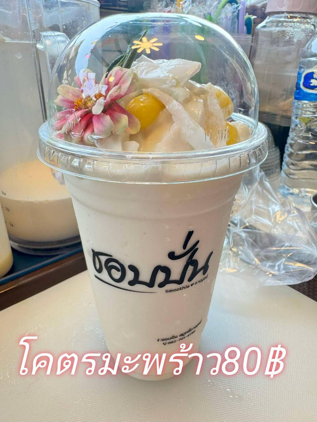 โคตรมะพร้าว