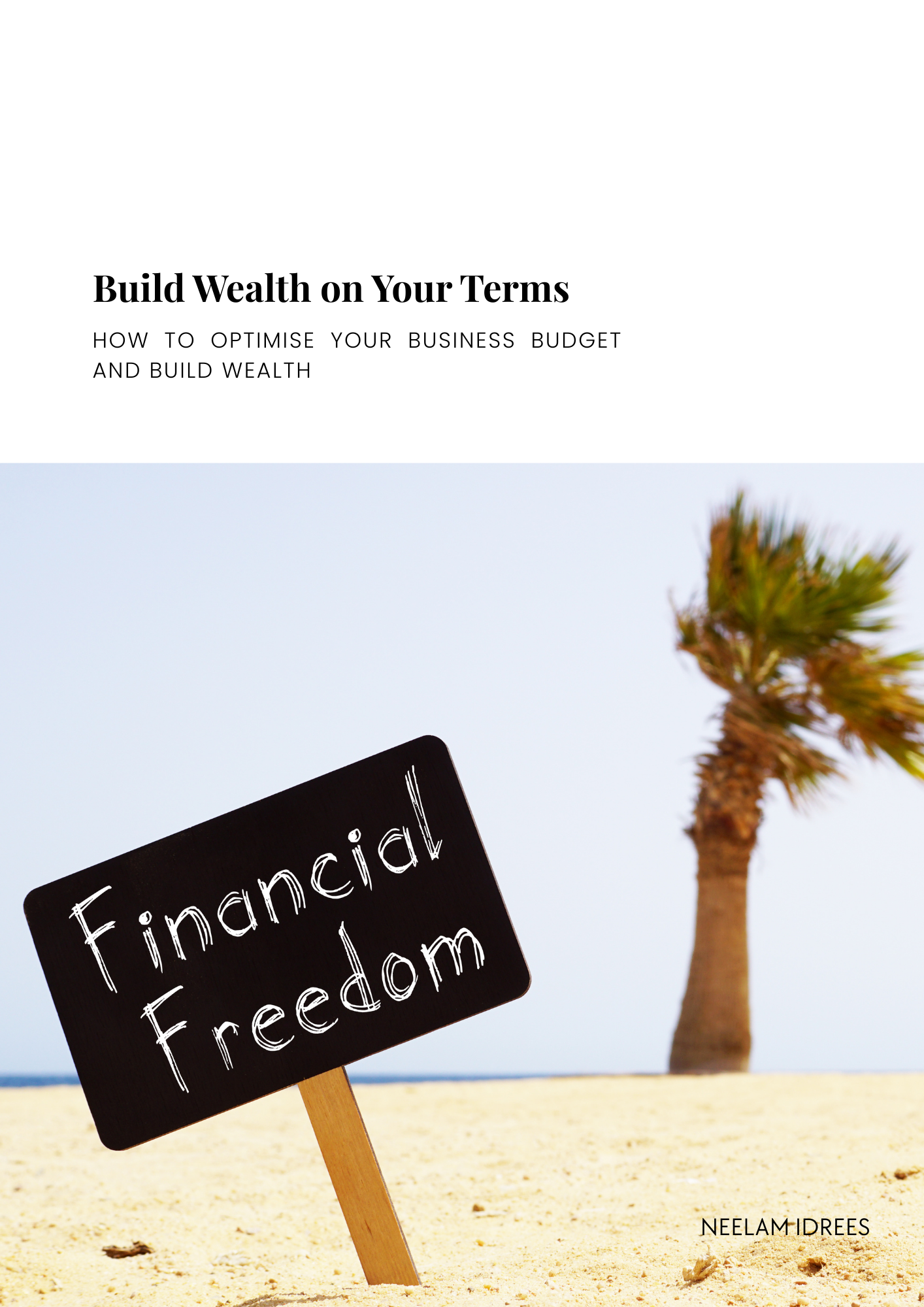 Entrepreneur Guide to Financial Freedom