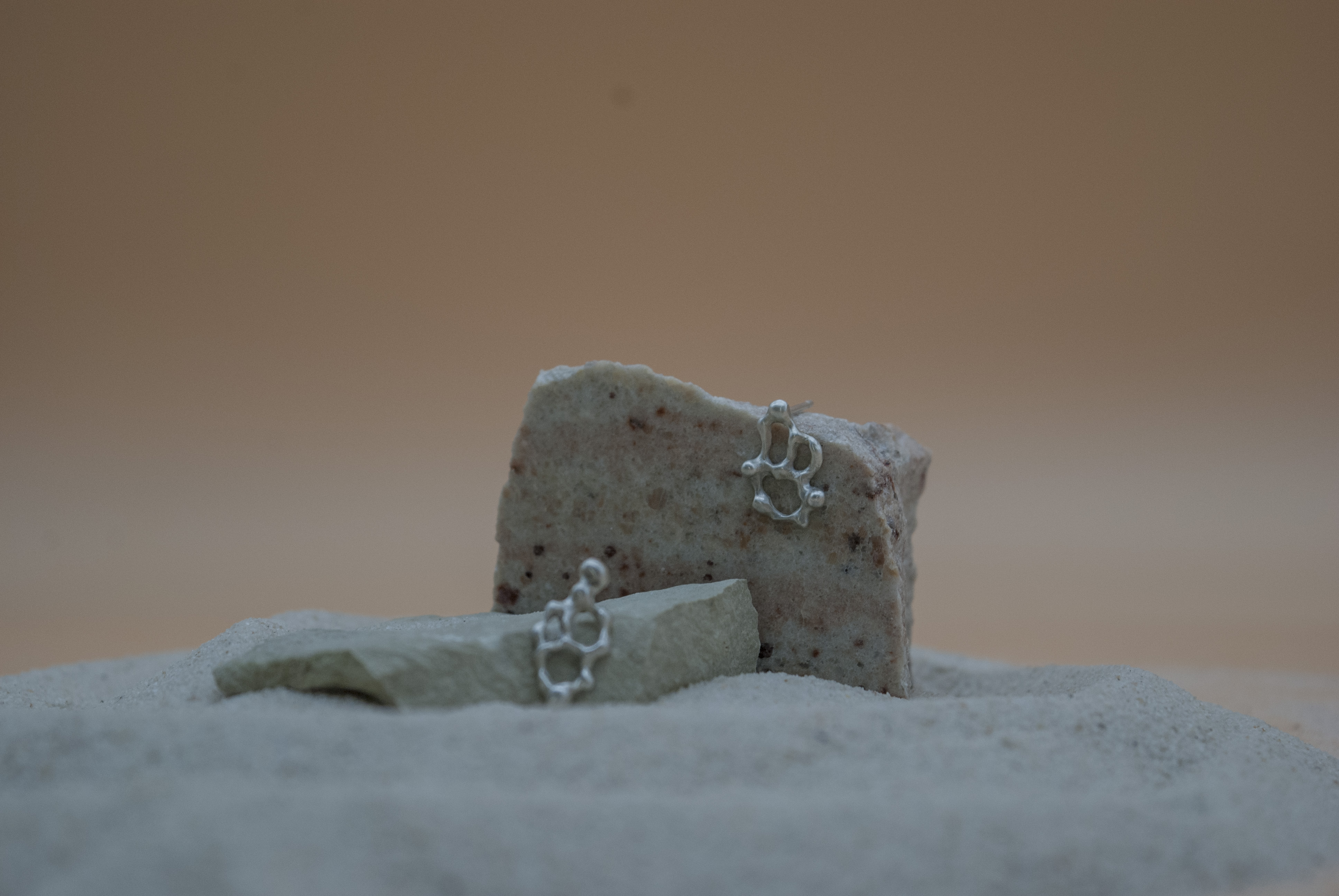 Fragmentum Fluxae VII