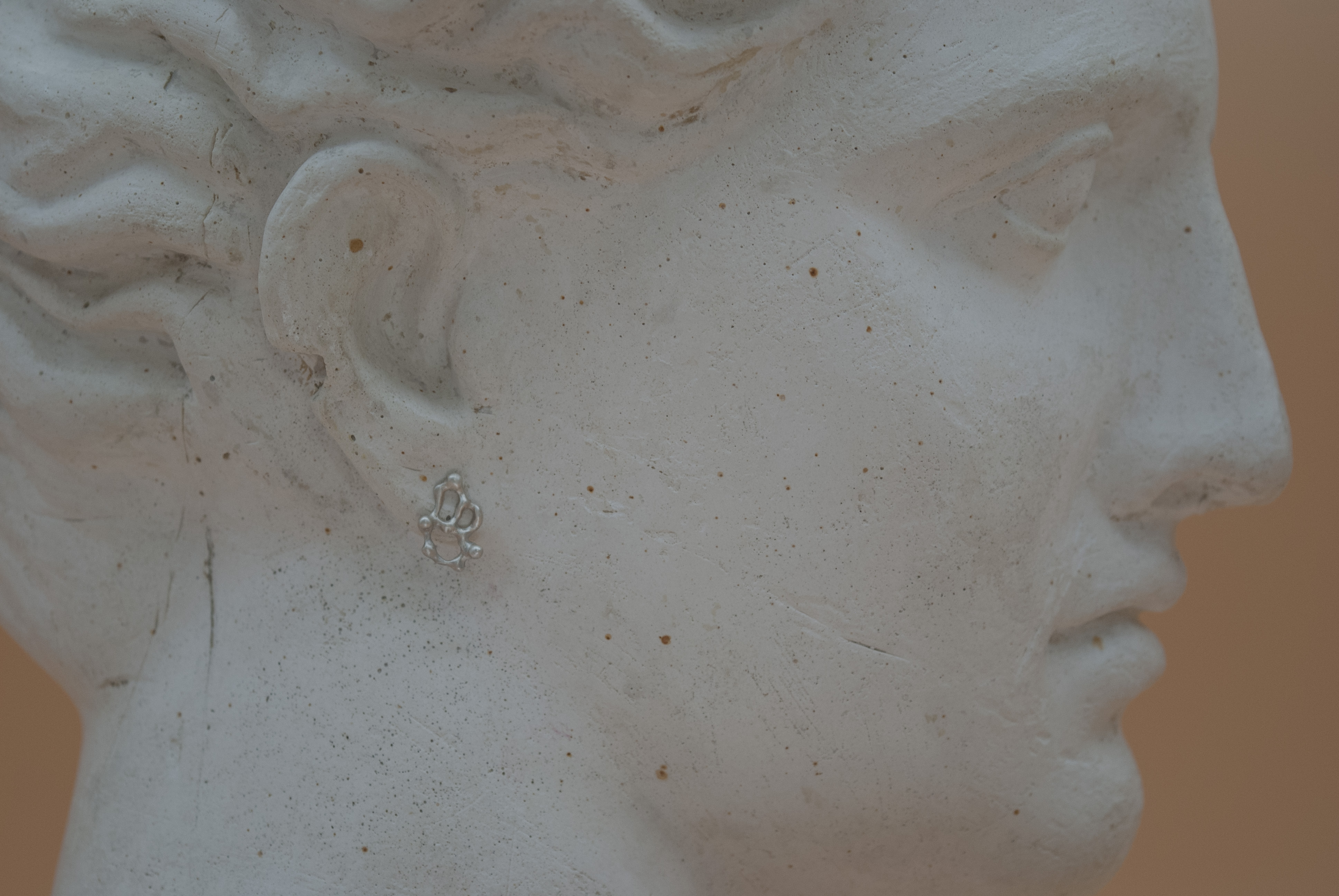 Fragmentum Fluxae VII