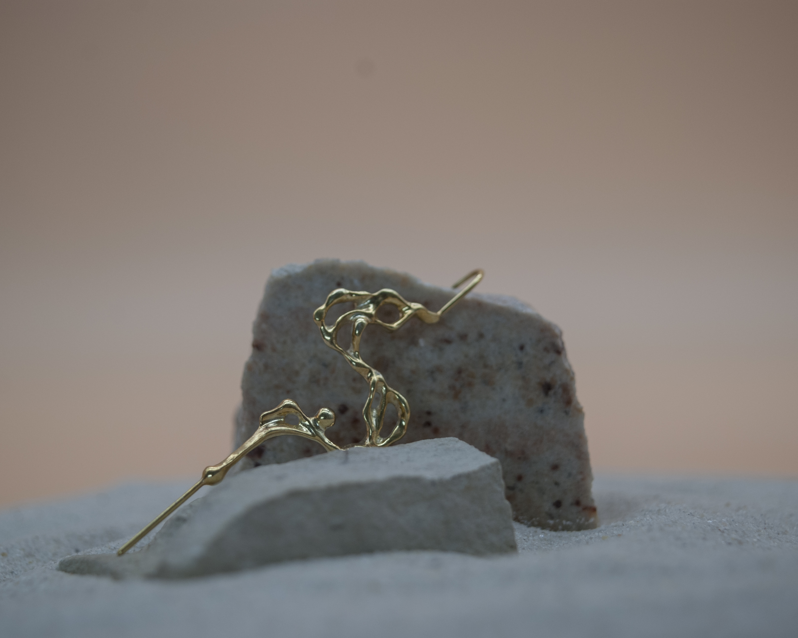 Fragmentum Fluxae IX Aurum