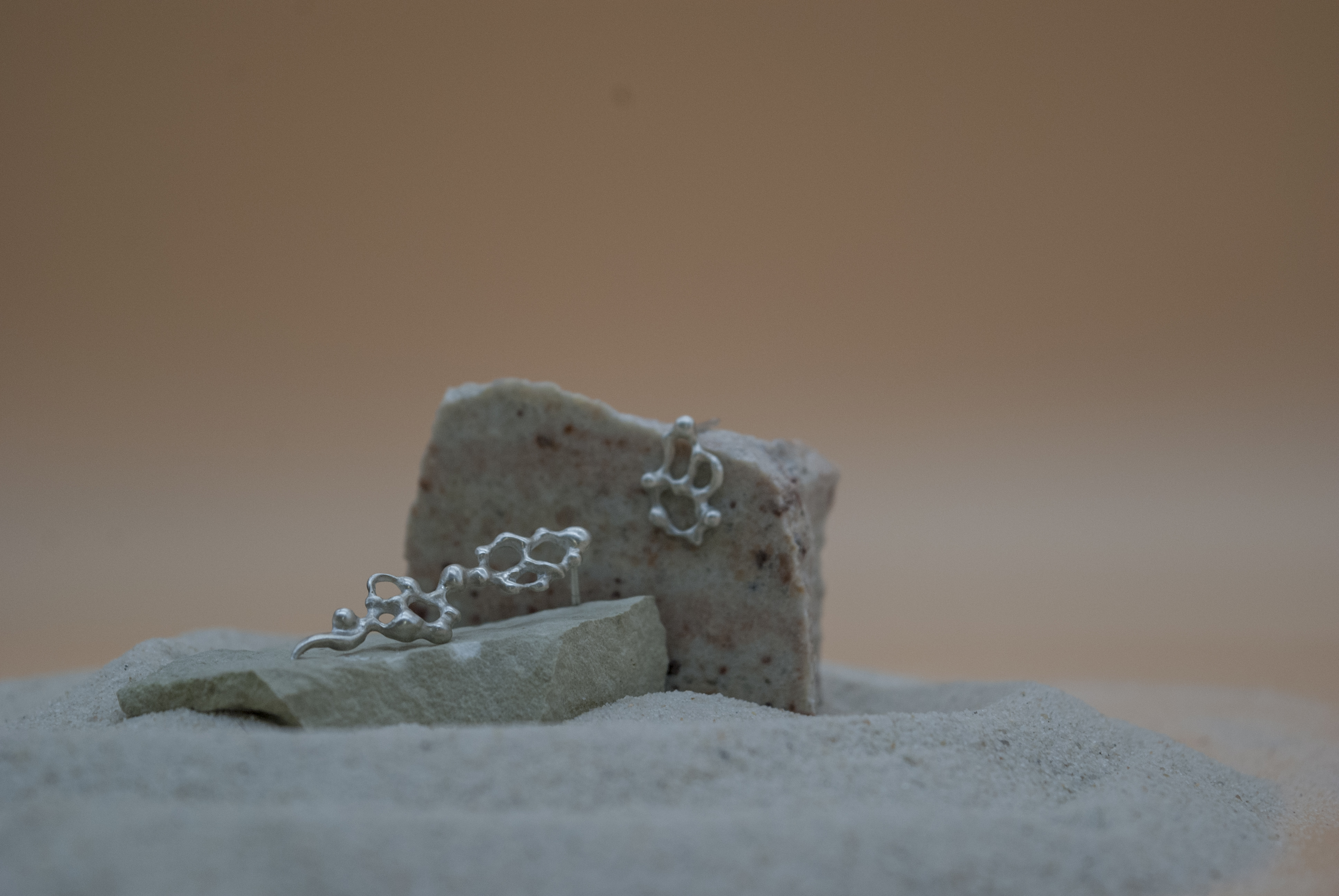 Fragmentum Fluxae IV