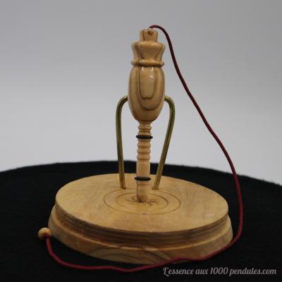 Pendule ParanorMic en bois d'olivier F61