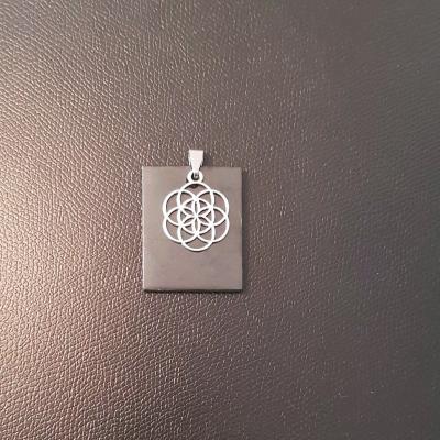 Pendentif en Shungite B66