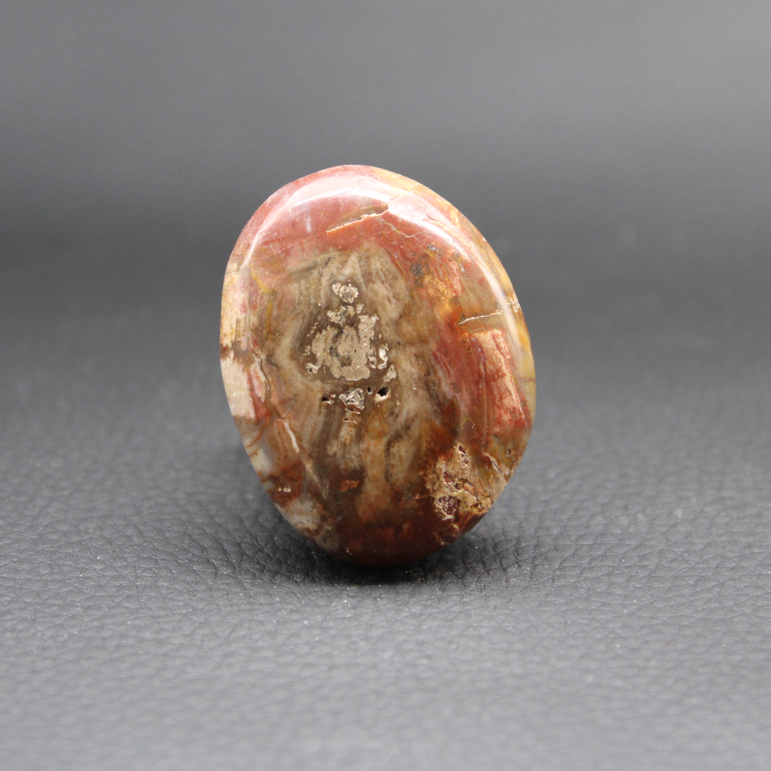 Galet Bois Fossilisé de Madagascar