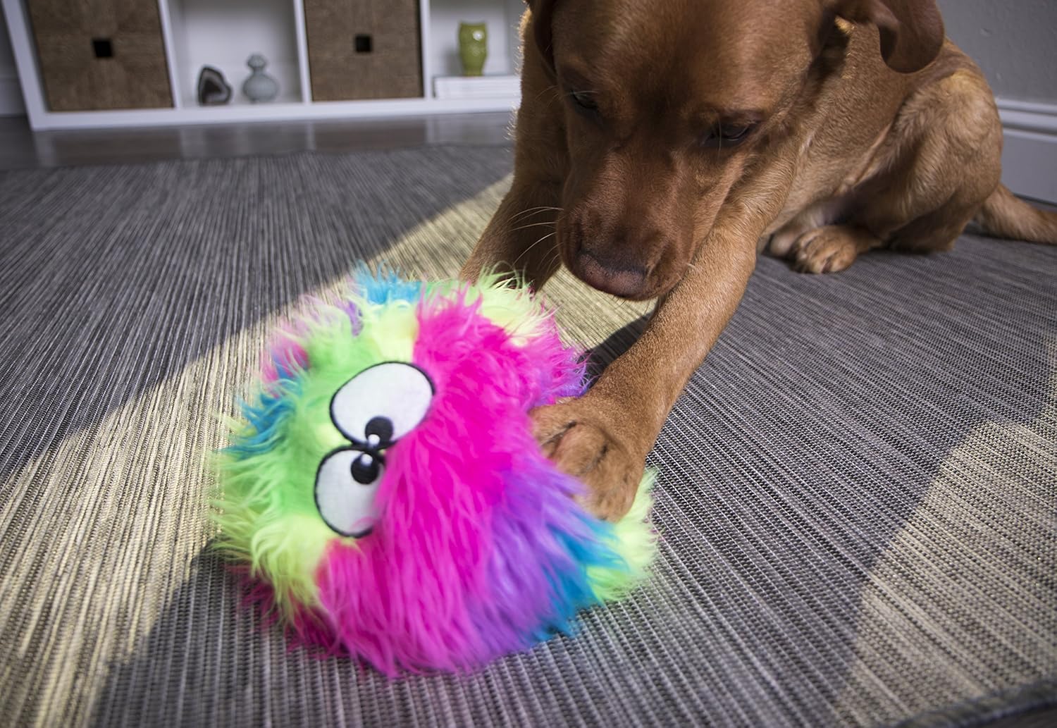 Rainbow Fuzzy Ball Toy