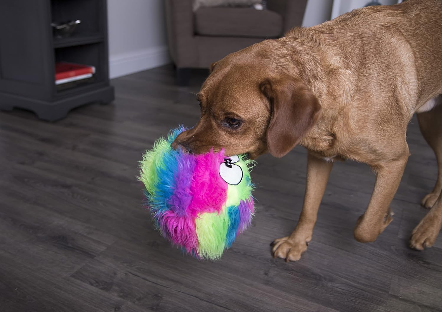 Rainbow Fuzzy Ball Toy