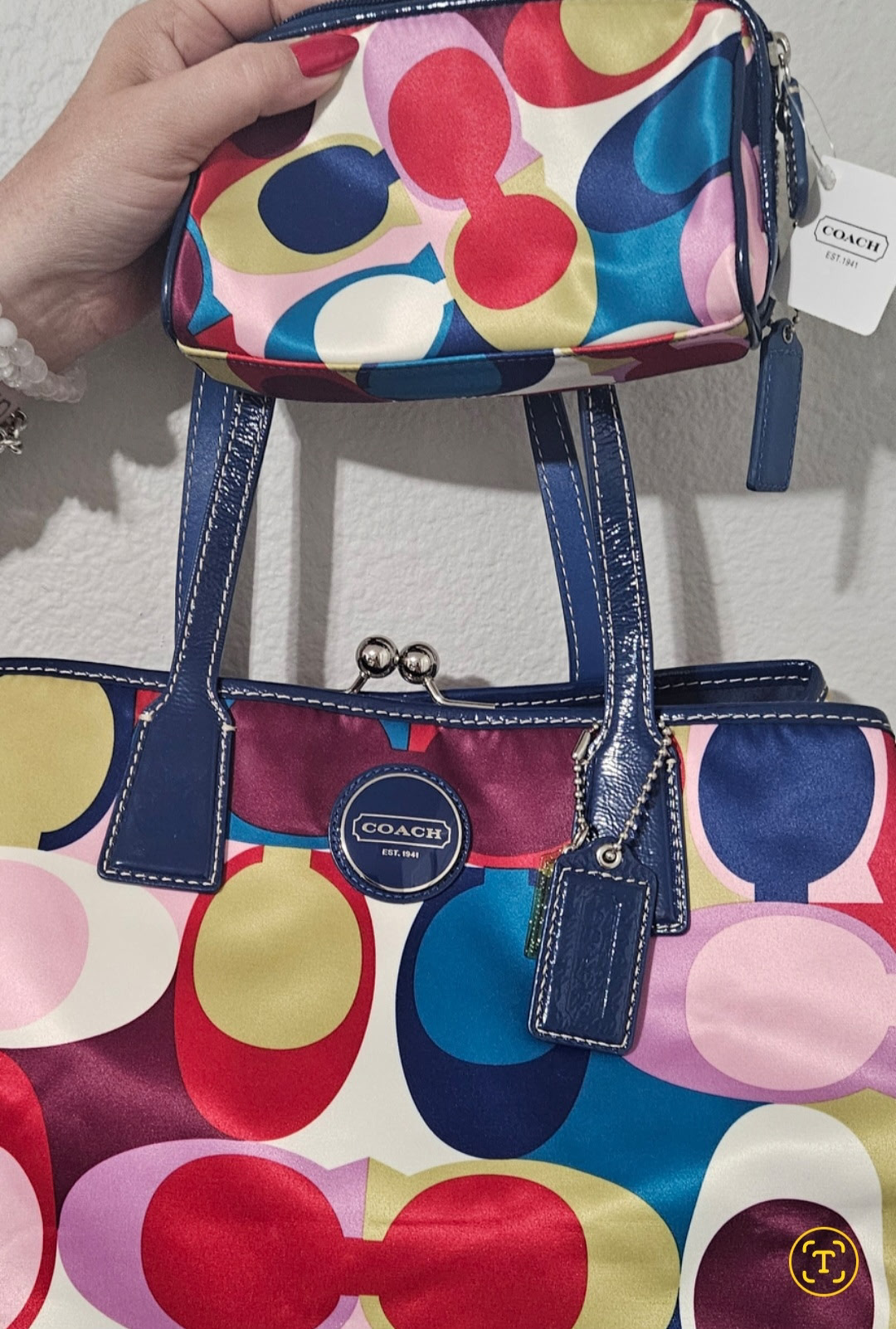 Coach Multicolor Signature Bag Set