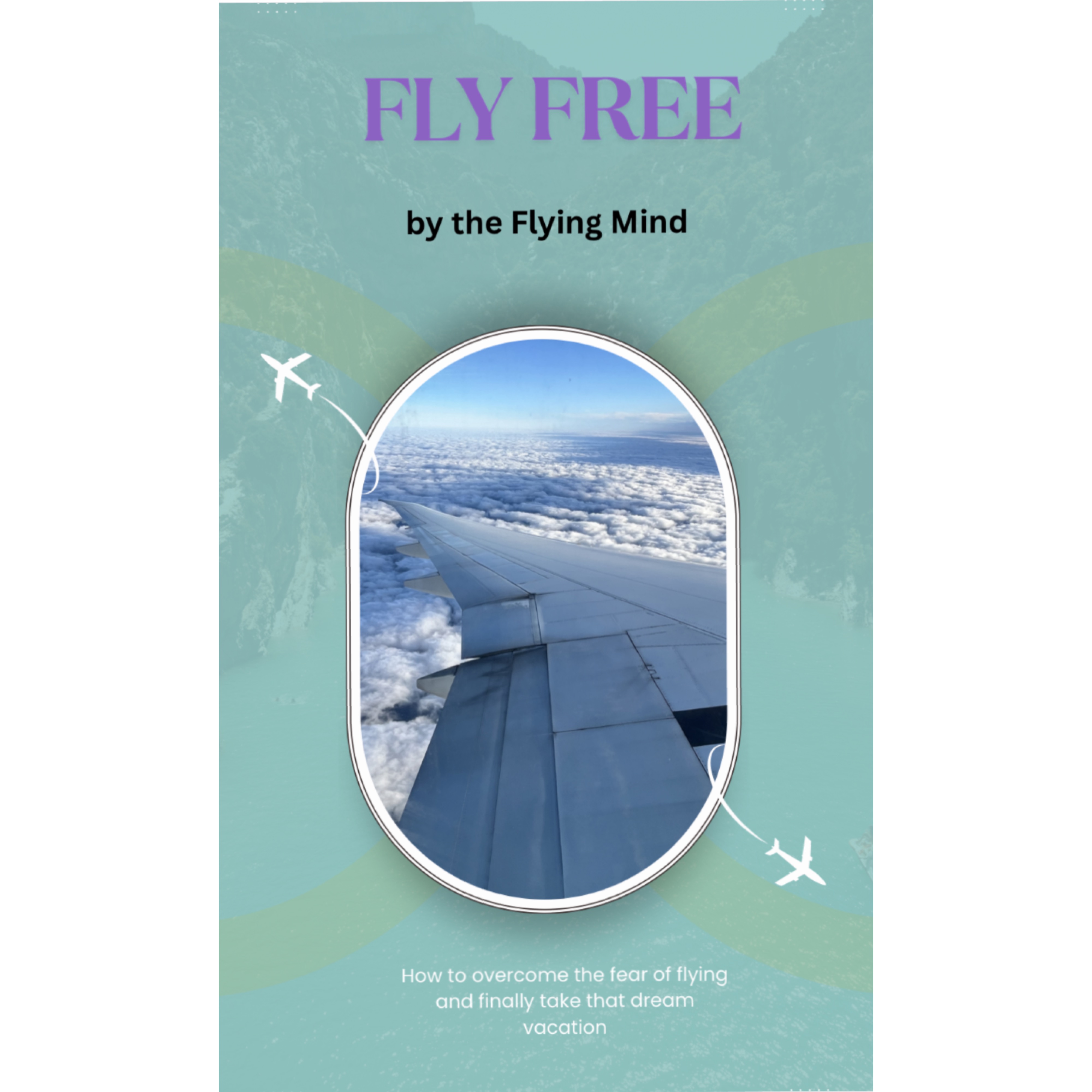 Fear of Flying eBook