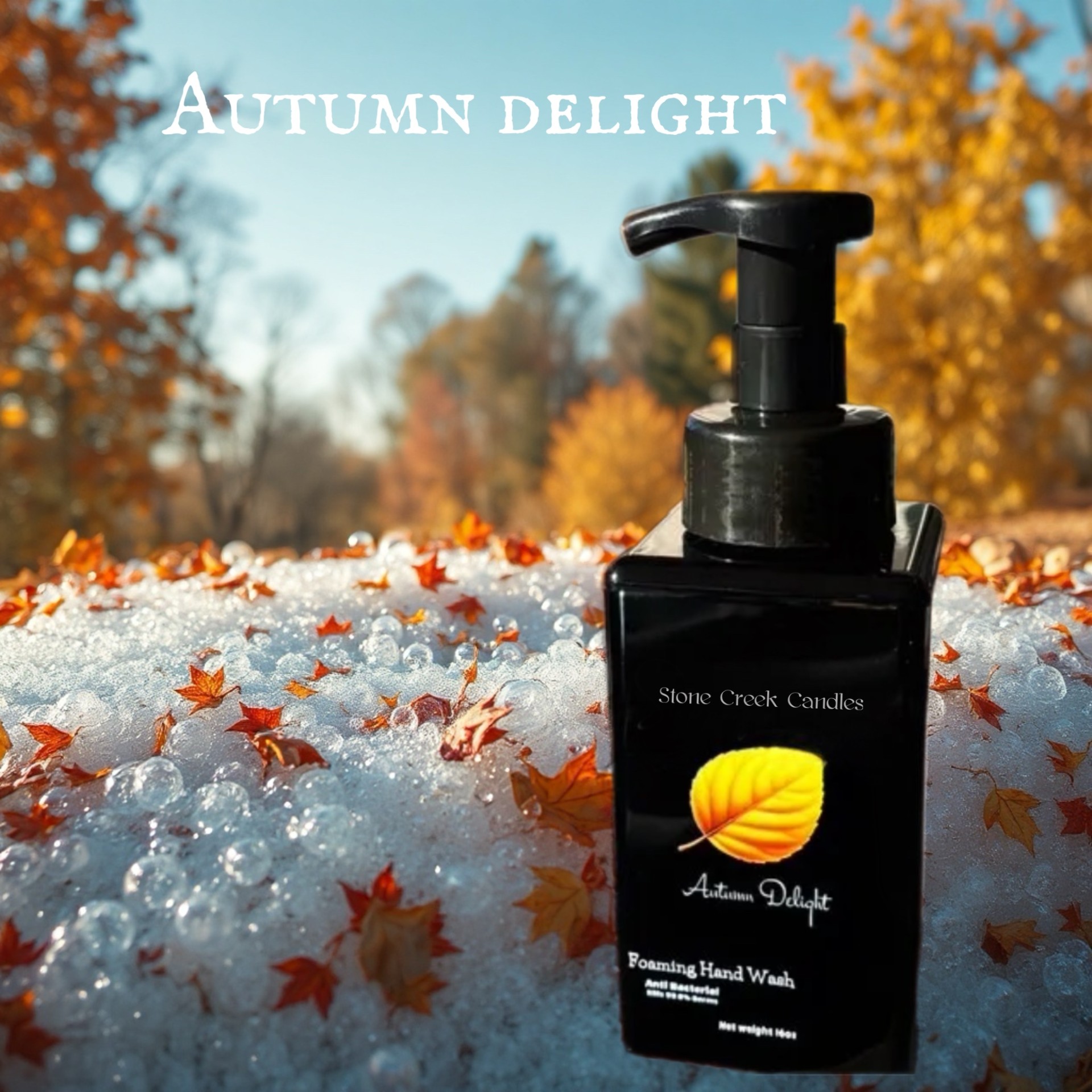16oz Autumn Delight Foaming Hand Wash