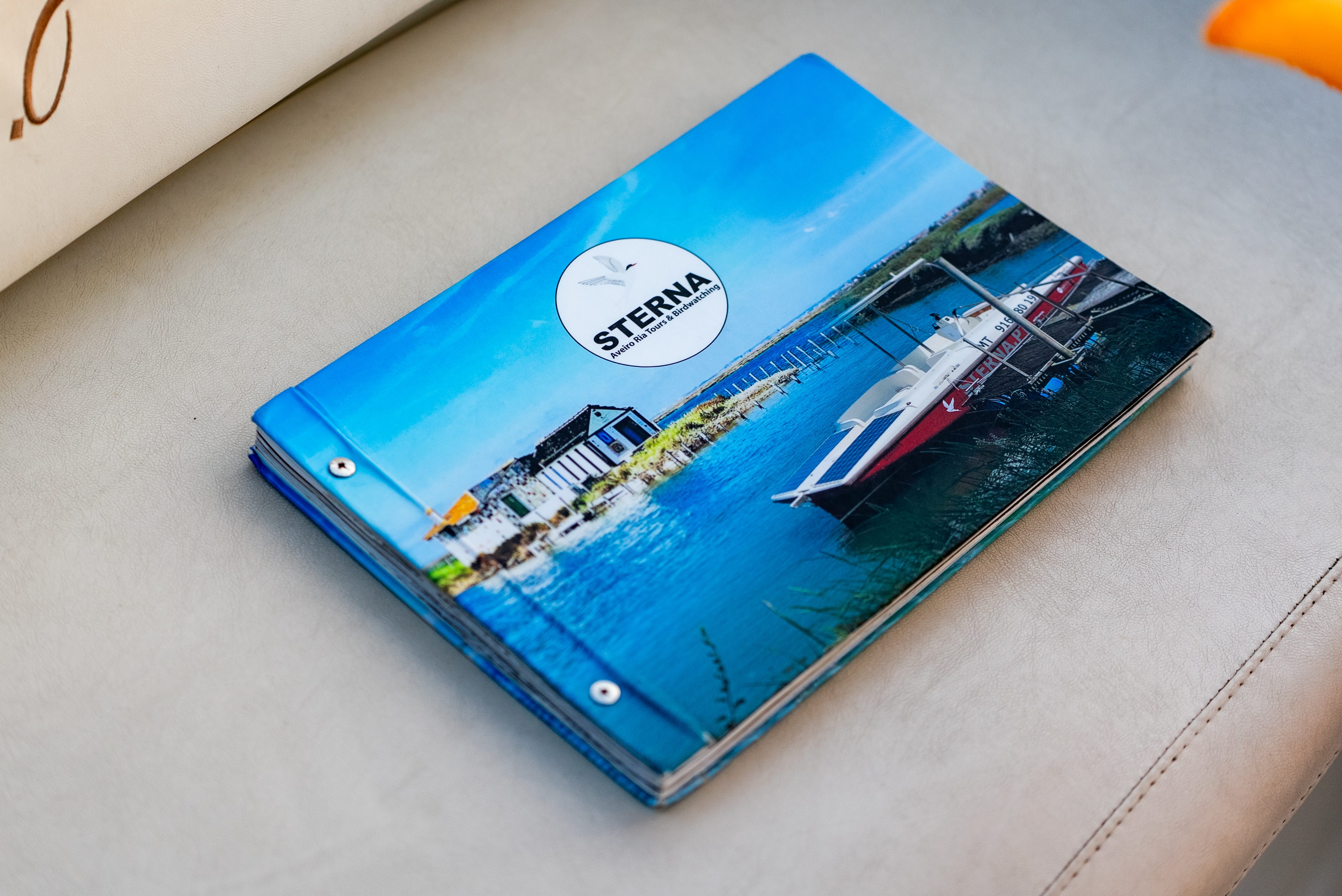 EXPERIÊNCIA DOS ESTEIROS