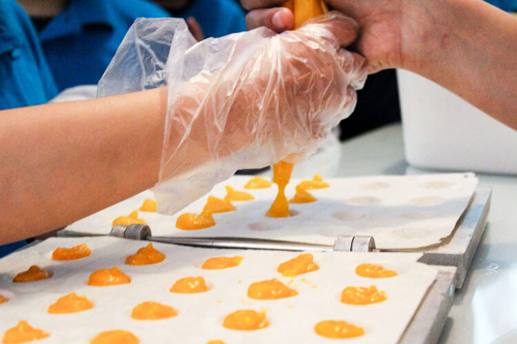 WORKSHOP DE OVOS MOLES