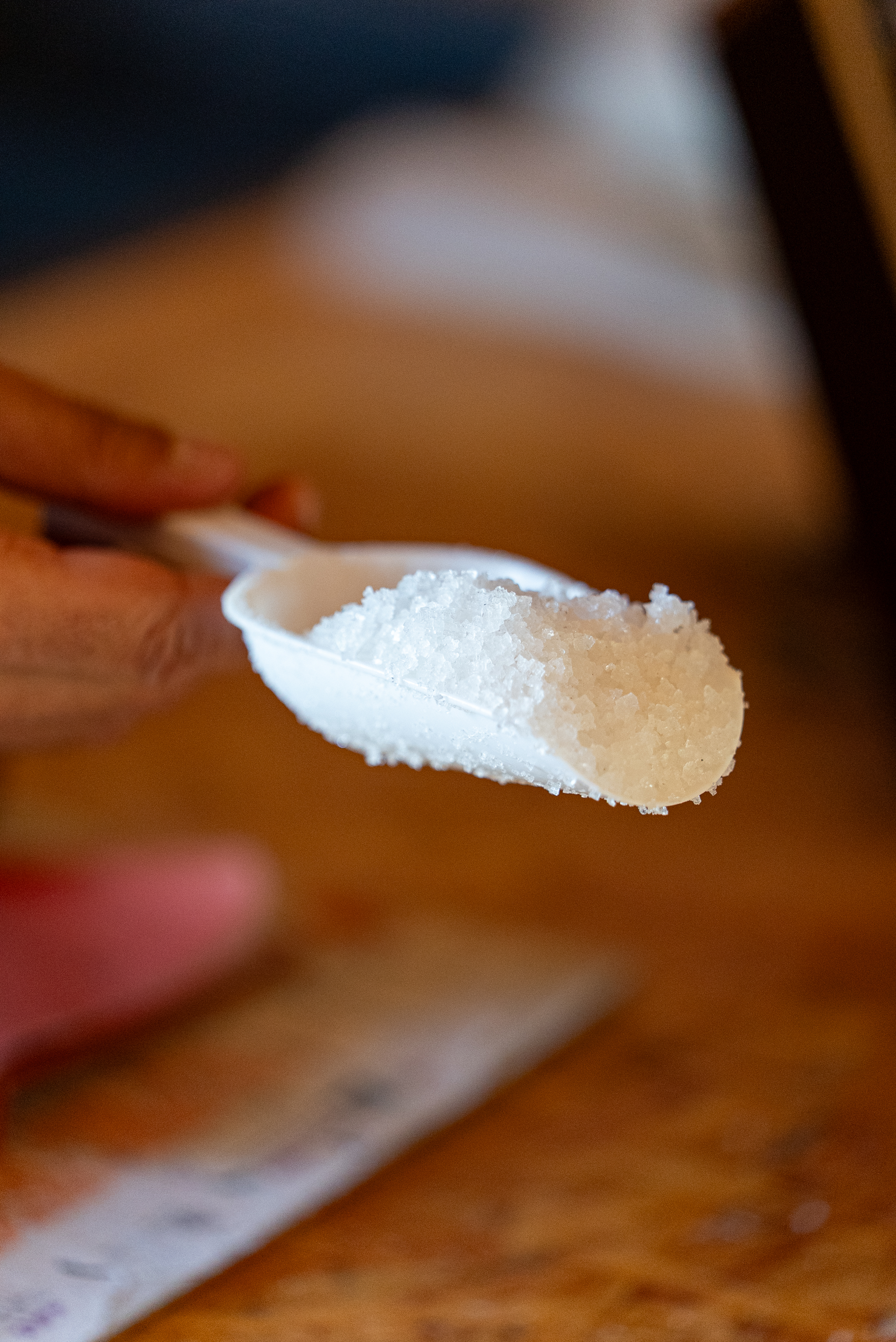 VISITA GUIADA SALINAS