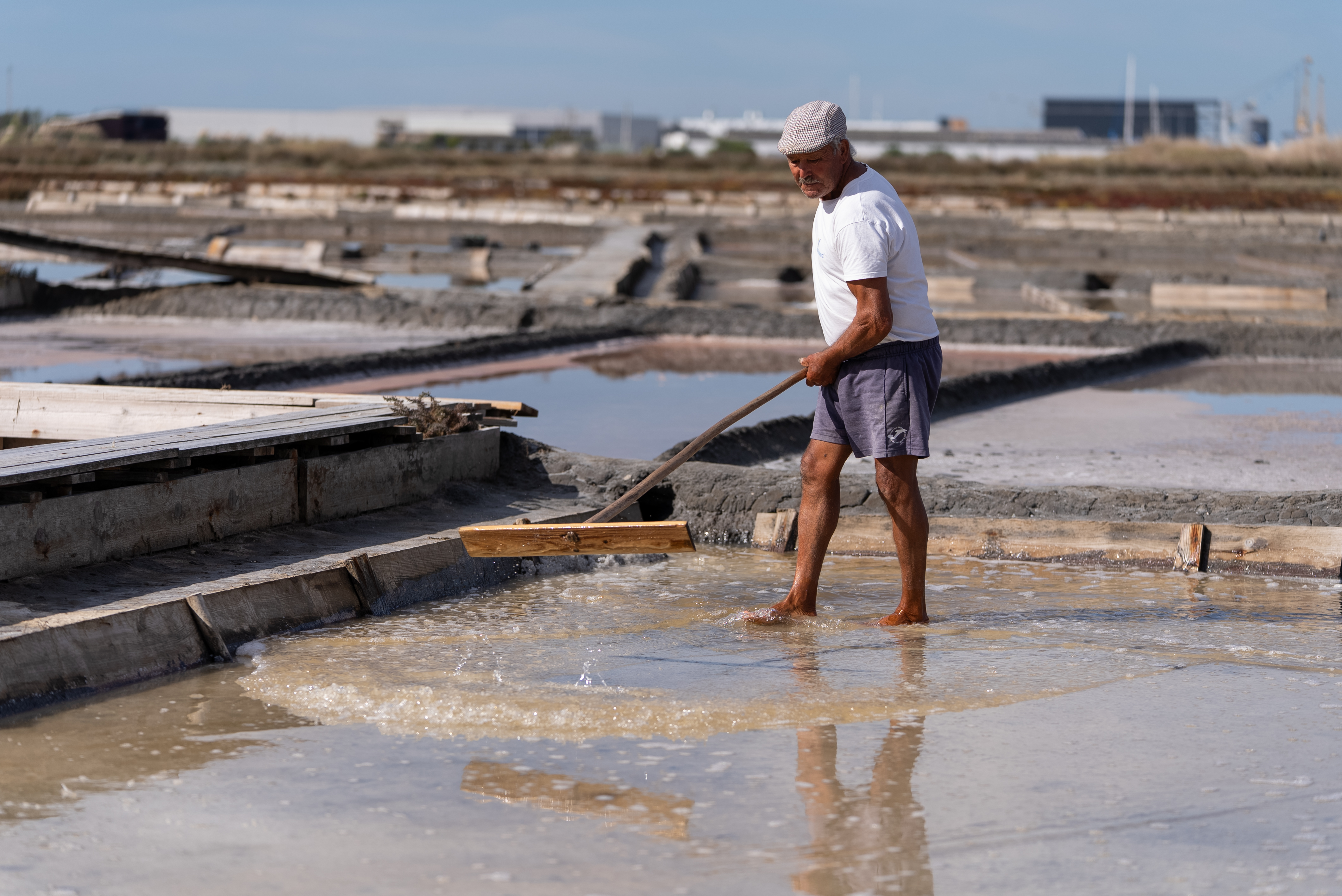VISITA GUIADA SALINAS