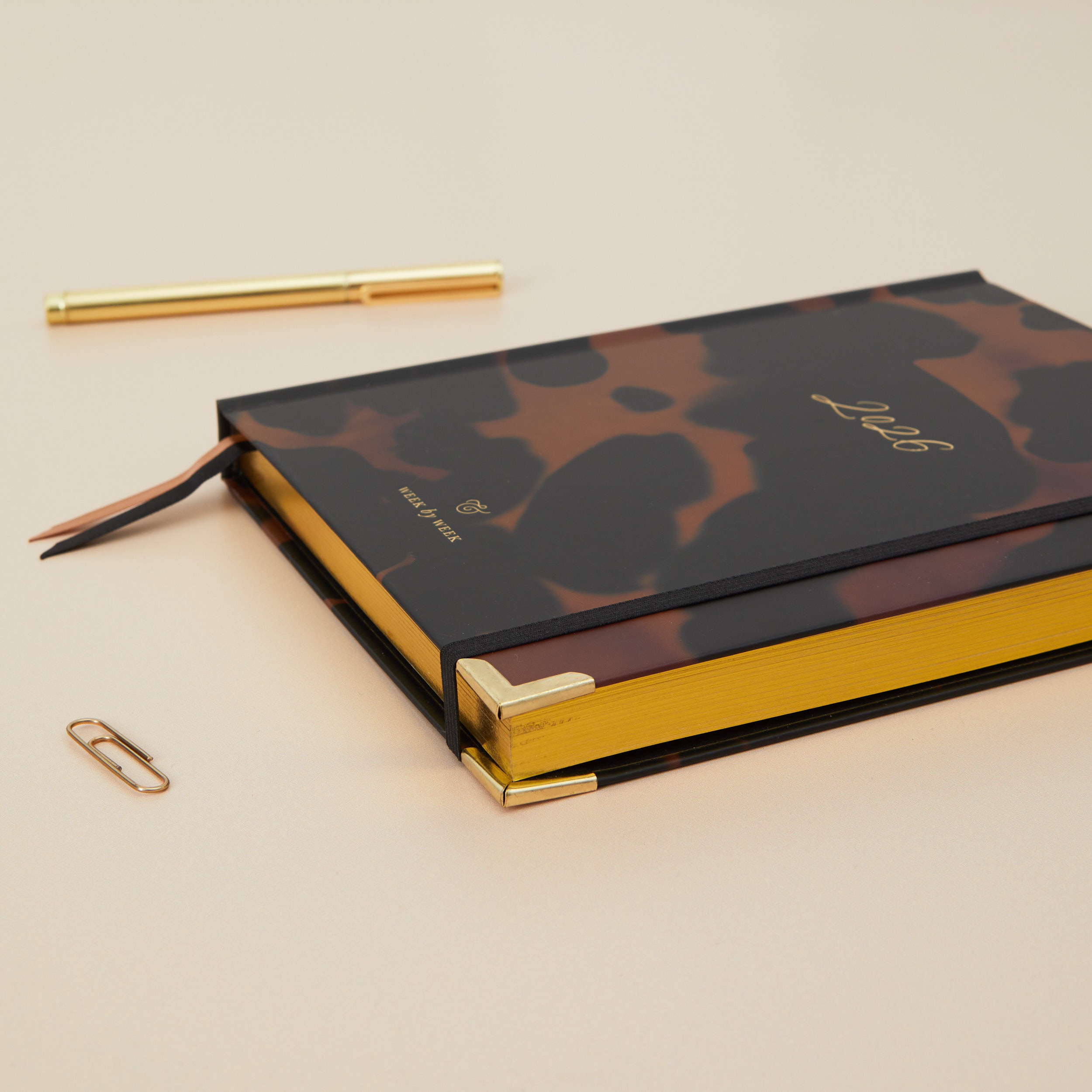 2026 Weekly Planner Tortoise